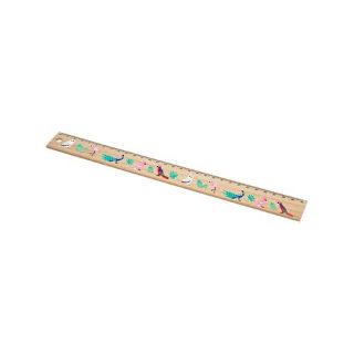 Obrázek z Pravítko dřevěné 30cm - ptáci(24) 